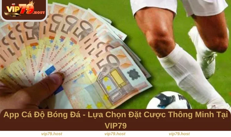 App Cá Độ Bóng Đá
