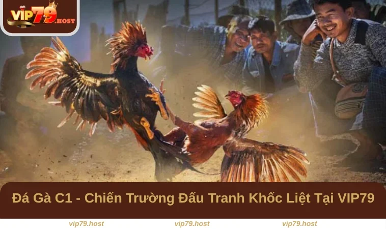 Đá Gà C1