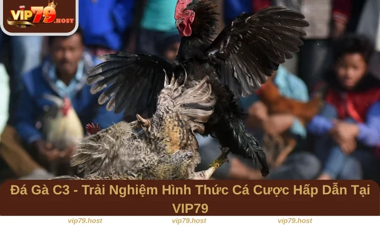 Đá Gà C3
