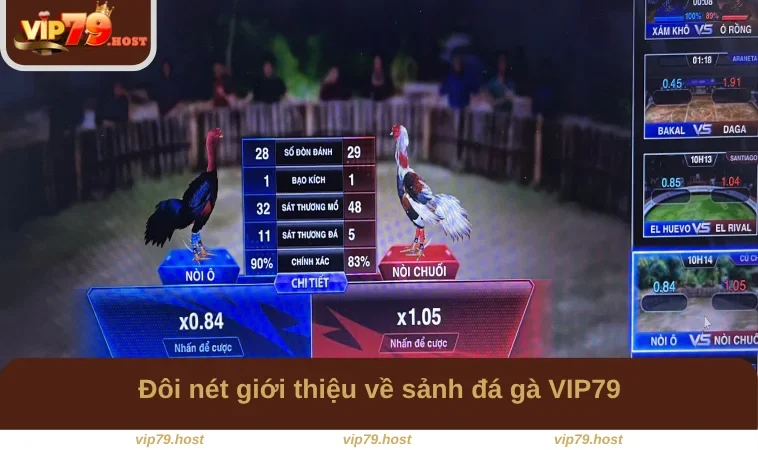 Đôi nét giới thiệu về sảnh đá gà VIP79