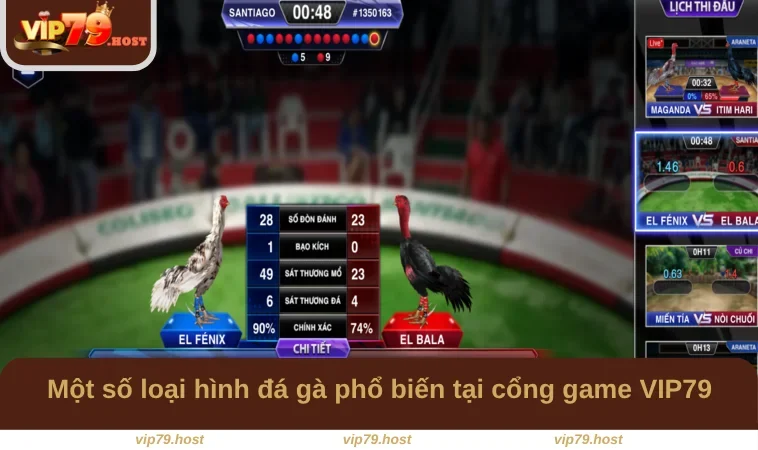 Một số loại hình đá gà phổ biến tại cổng game VIP79