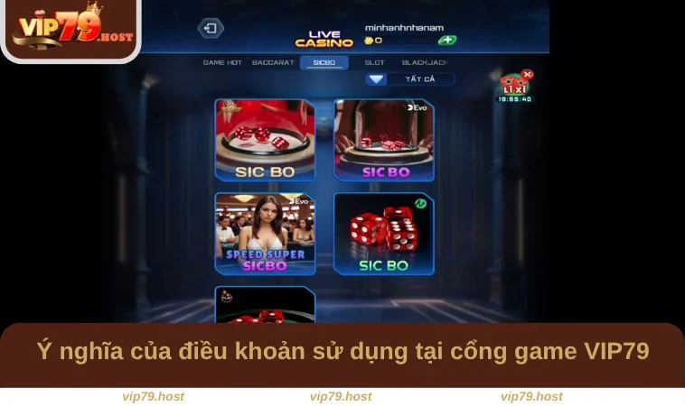 Điều Khoản Sử Dụng VIP79 1 Ý nghĩa của điều khoản sử dụng tại cổng game VIP79