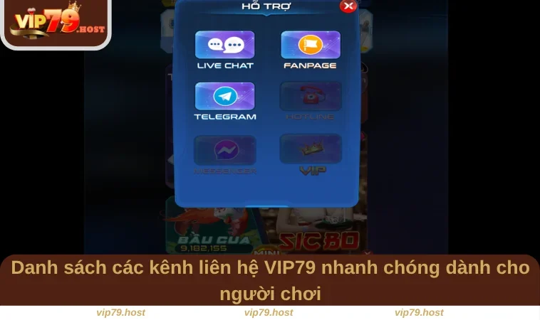 Danh sách các kênh liên hệ VIP79 nhanh chóng dành cho người chơi