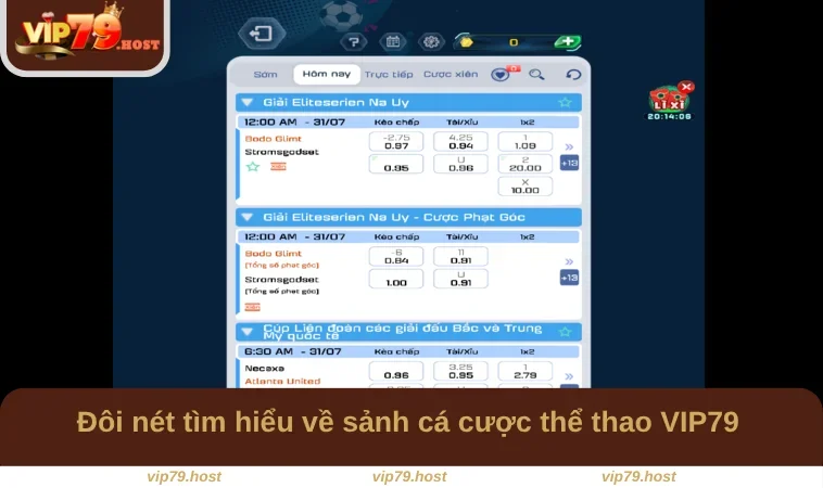 Đôi nét tìm hiểu về sảnh cá cược thể thao VIP79 